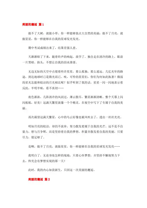 美丽的邂逅作文 22篇