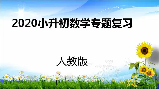 六年级下册数学课件-2020小升初专题复习：数与代数 第8课时人教新课标(2014秋) (共22张PPT)
