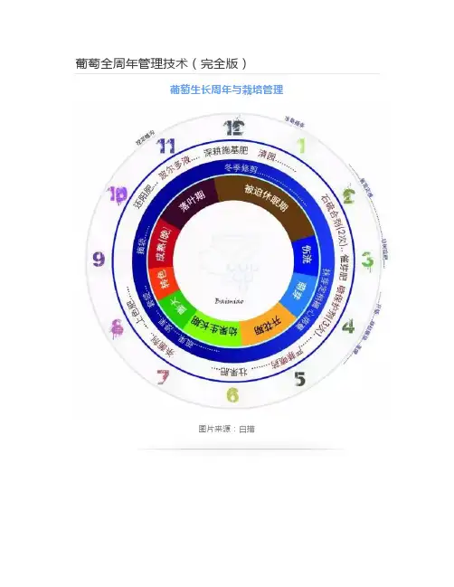  葡萄全周年管理技术(完全版)