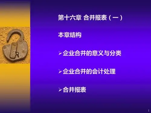 第十六章 合并报表(一)(会计学,上海财经大学)-PPT精选文档