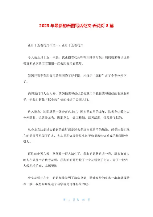 2023年最新的看图写话范文-看花灯8篇
