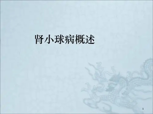 肾小球病概述 ppt课件