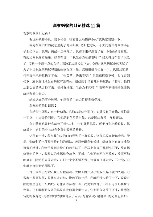 观察蚂蚁的日记精选11篇