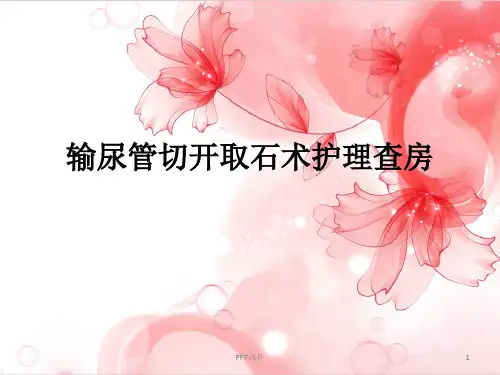 腹腔镜下输尿管切开取石术护理查房  ppt课件