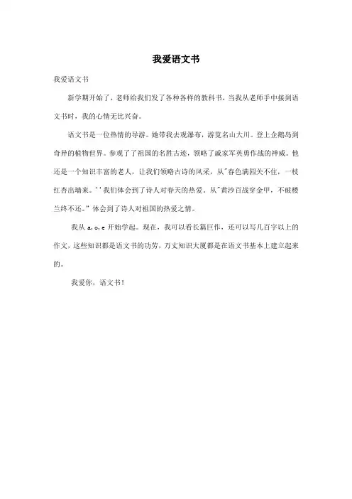 我爱语文书_小学五年级作文300字