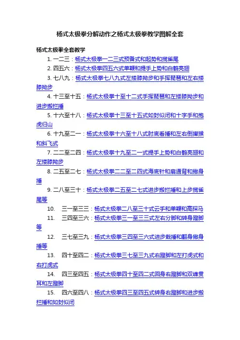 杨式太极拳分解动作之杨式太极拳教学图解全套