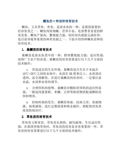 鳜鱼的4种苗种培育技术