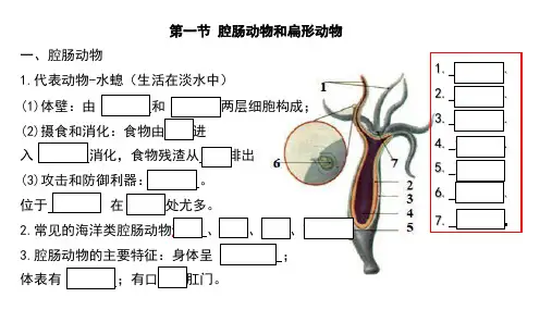 人教版生物八年级上册期末考试知识点汇总(课件)(共28张PPT)