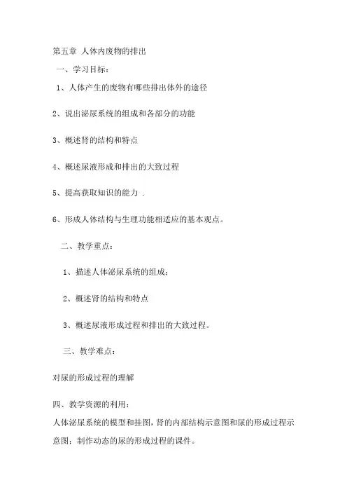 生物人教版七年级下册人体泌尿系统