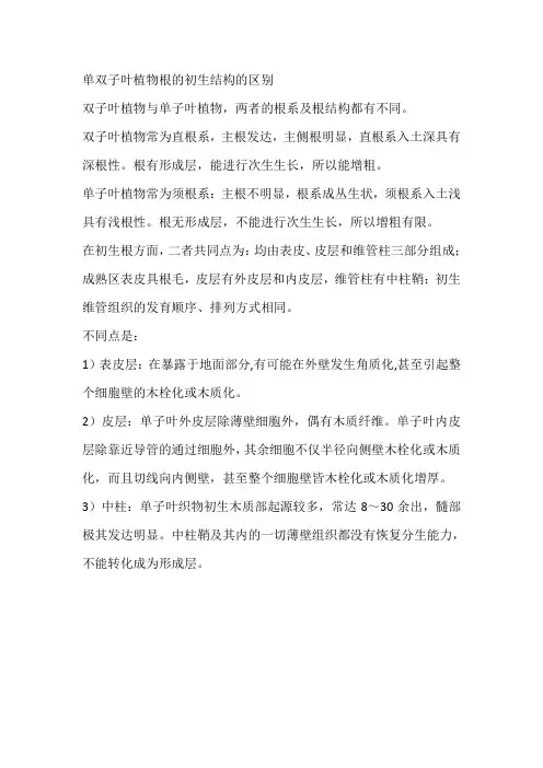单双子叶植物根的初生结构的区别
