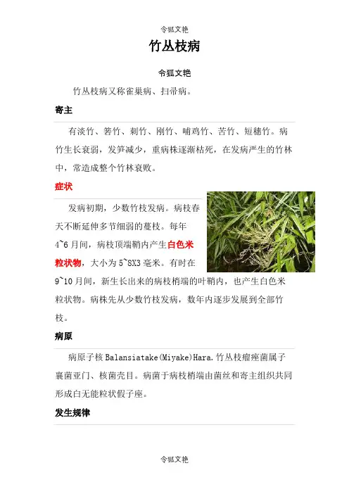 竹类主要病虫害及其防治之令狐文艳创作