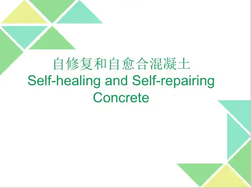 自愈合与自修复混凝土_图文