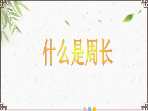 《什么是周长》说课课件