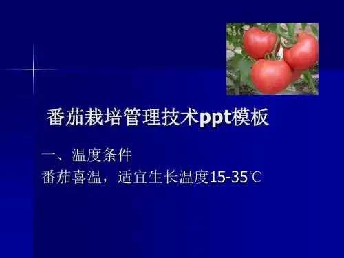 番茄栽培管理技术ppt模板