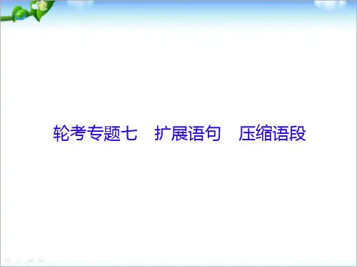 2019年新课标语文高三总复习课件：7-扩展语句 压缩语段(含答案)