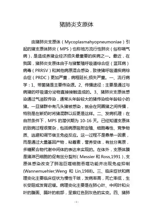 猪肺炎支原体