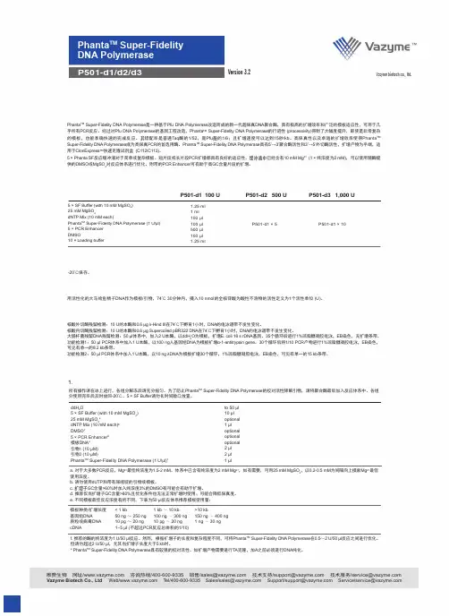 Phanta超高保真酶