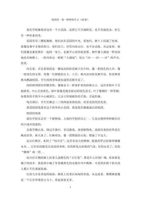 校园的一角—植物角作文(10篇)
