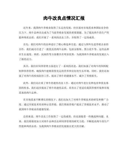 肉牛改良点情况汇报