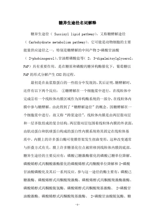 糖异生途径名词解释
