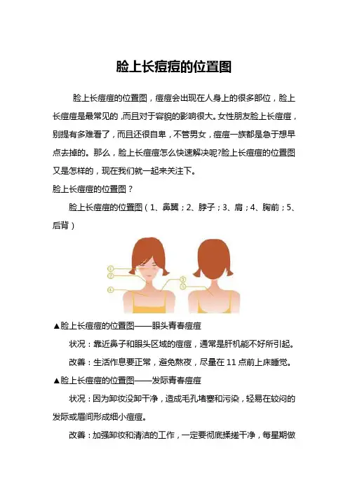 脸上长痘痘的位置图