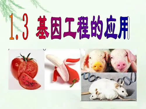高中生物： 基因工程的应用