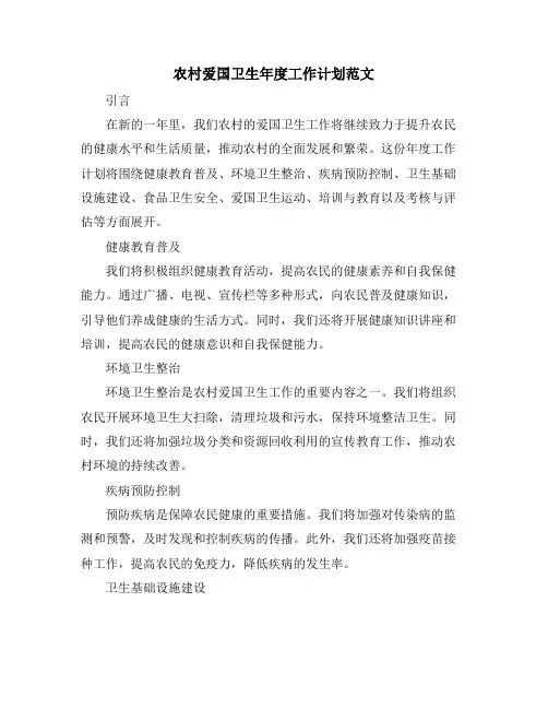 农村爱国卫生年度工作计划范文