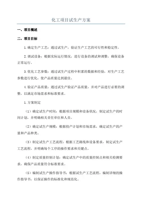 化工项目试生产方案