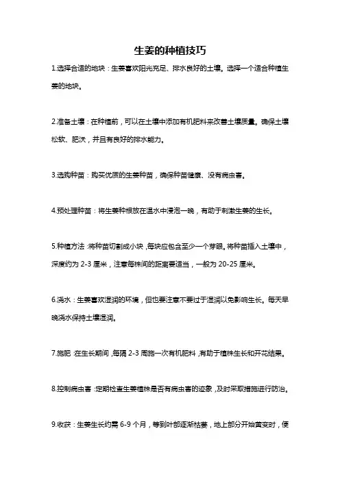生姜的种植技巧