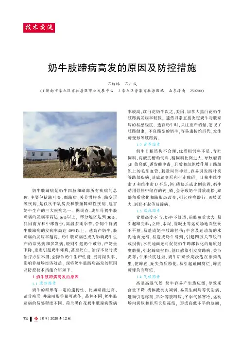 奶牛肢蹄病高发的原因及防控措施