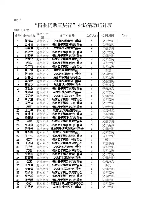精准资助基层行走访统计表 (2)