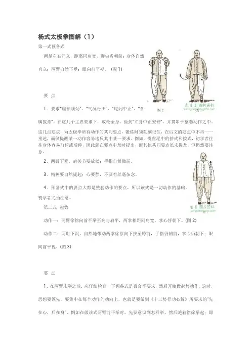 杨式太极拳图解