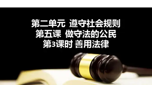 5.3 善用法律 课件(25张幻灯片)