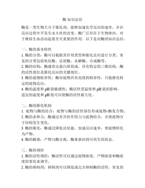 酶 知识总结