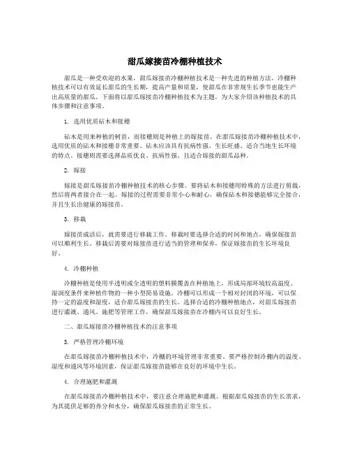 甜瓜嫁接苗冷棚种植技术