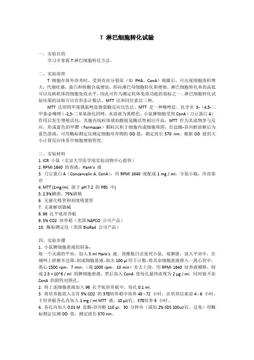 医学免疫学实验：T 淋巴细胞转化试验