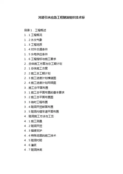 河道引水应急工程隧洞组织技术标