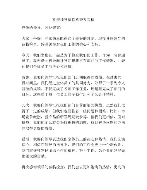欢迎领导莅临检查发言稿