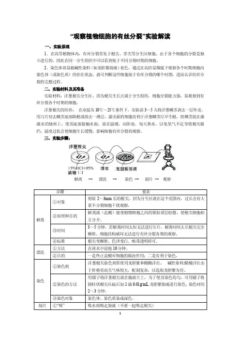 “观察植物细胞的有丝分裂”实验解读