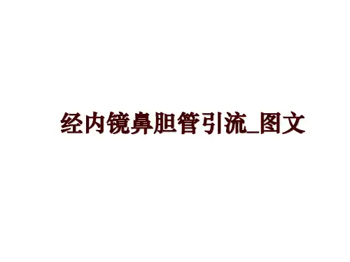 最新经内镜鼻胆管引流_图文ppt课件