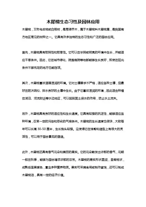 木犀榄生态习性及园林应用
