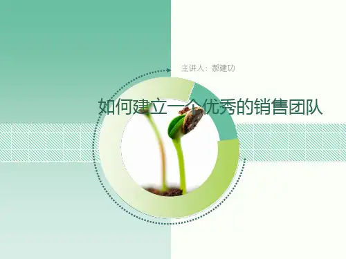 如何建立一个优秀的销售团队(PPT 30页)