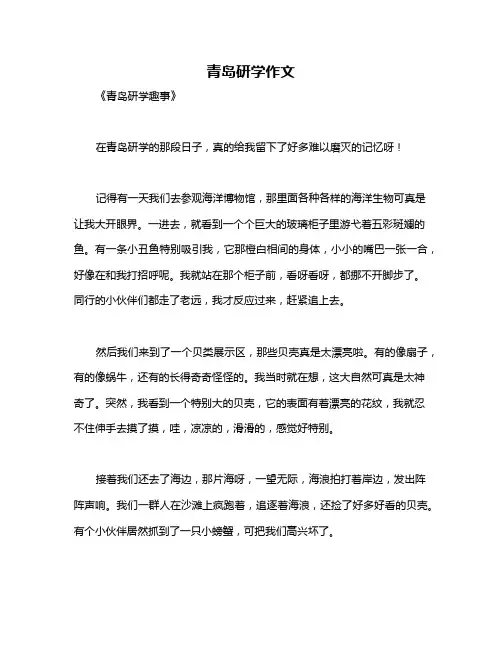 青岛研学作文