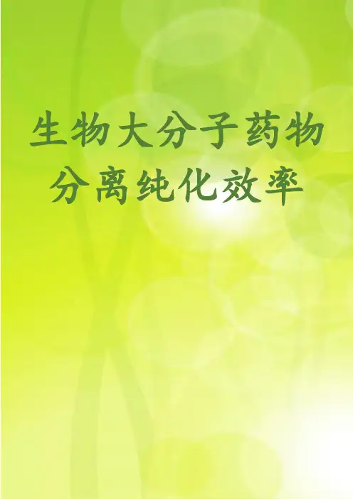 生物大分子药物分离纯化效率