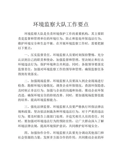 环境监察大队工作要点