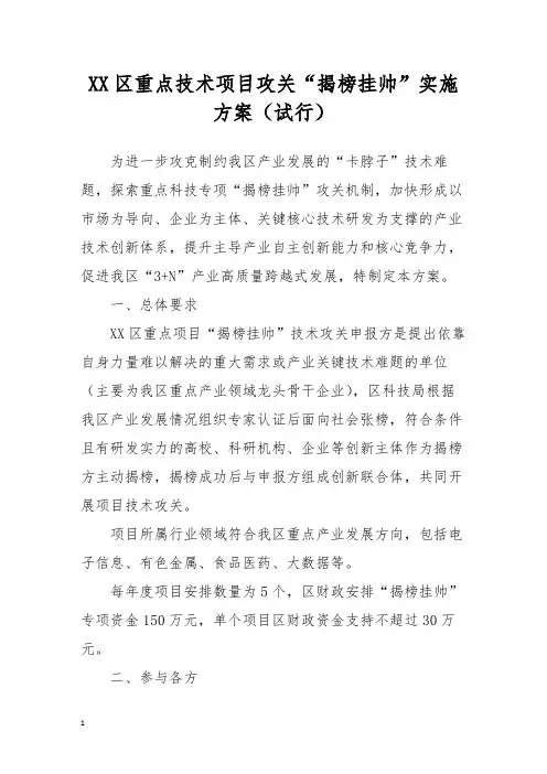 区重点技术项目攻关“揭榜挂帅”实施方案(试行)