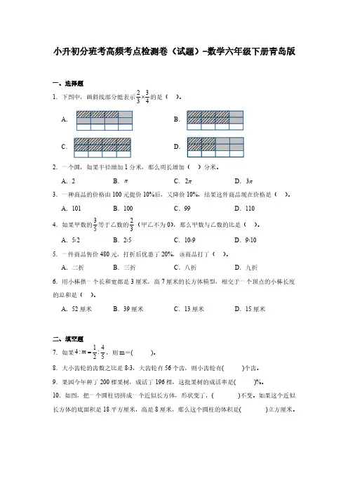 2023-2024学年青岛版小学数学六年级下册小升初分班考检测卷(含答案解析)