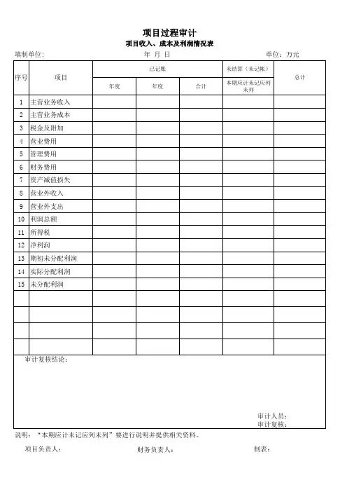 项目收入、成本及利润情况表