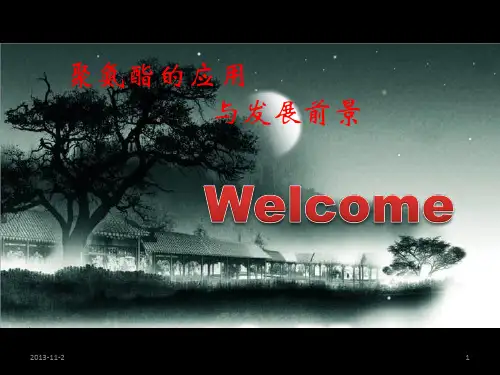聚氨酯的应用及发展及发展前景PPT