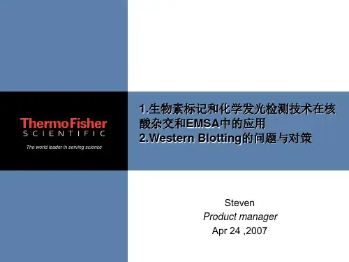 生物素标记和化学发光检测技术在核酸杂交和EMSA中的应用